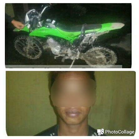 Seorang Buron, Polres Inhil Tangkap Maling Motor PT GIN