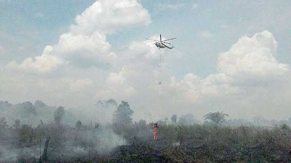 Menteri LHK Warning Perusahaan di Riau