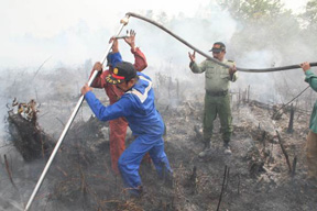 Titik Api Sedang Dipadamkan Tim Kelabakan Cari Sumber Air