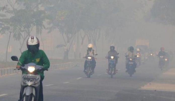 BPBD Kampar Bantah Jika Disebut sebagai Penyumbang Asap di Kota Dumai