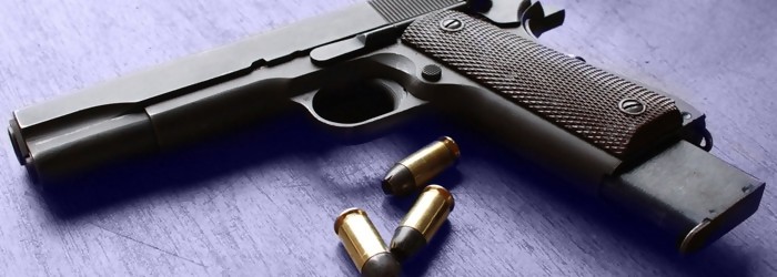 Komisi I Desak Kepolisian Razia Kepemilikan Senpi di Tengah Masyarakat
