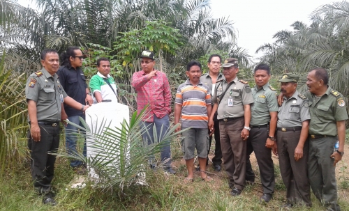 Bantah Keluarkan Sertifikat Kebun Wabup Kuansing, BPN: Mengukur pun Tidak 