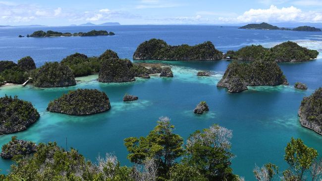 Raja Ampat Jadi Destinasi Wisata Favorit Pecinta Ular