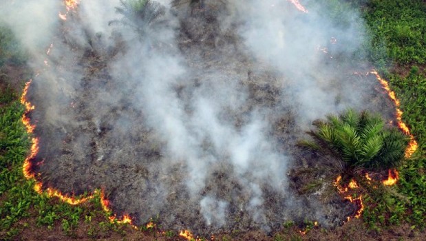 1.321 Ha Lahan di Riau Terbakar
