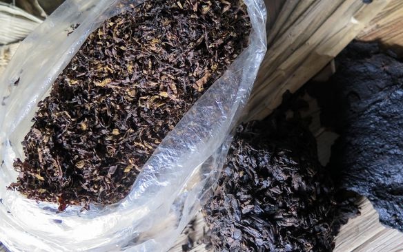 RUU Pertembakauan Segera Disahkan