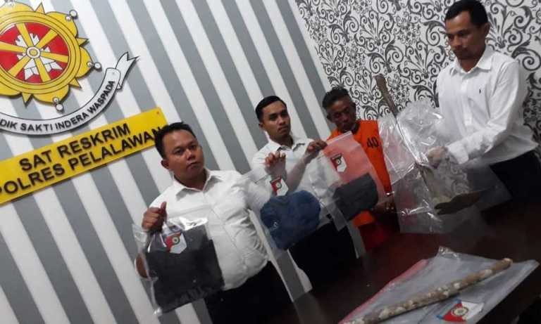 Fakta-Fakta Mengejutkan di Kasus Pembunuhan Junjung Siregar di Pelalawan 