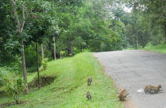 Bangunan di Pulau Galang Batam Jadi RS Corona
