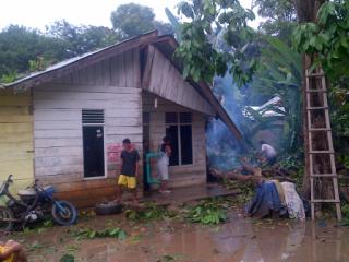 Akibat Angin Kencang Sebuah Rumah di Dusun Tulang Gajah Rusak Di Timpa Pohon.