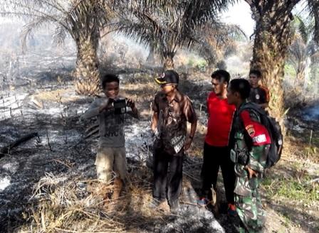 Memasuki Musim Kemarau, Karlahut di Kabupaten Rohul Marak