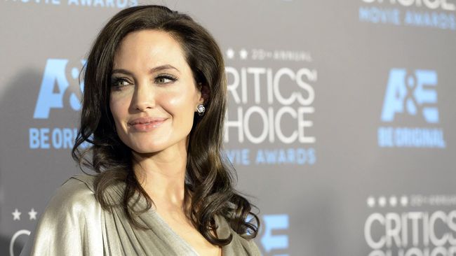 Karier Angelina Jolie Pasca Cerai: Ibu Rumah Tangga 