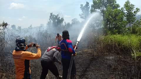 Meski Berbahaya, Petugas di Mandau Tetap Pantang Pulang Sebelum Kebakaran Lahan Padam 