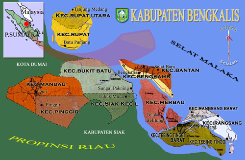 Mantan Oknum Camat Pinggir, Diduga Jual Hutan Negara