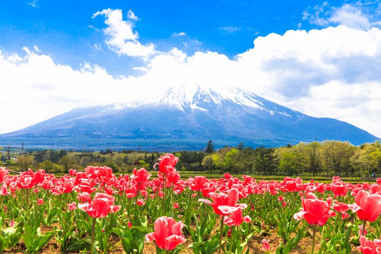 Kebiasaan Unik Orang Jepang Saat Musim Panas, Bisa Dicontoh Nih 