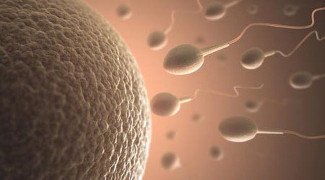 5 Langkah Memperbaiki Kualitas Sperma