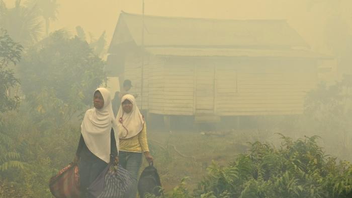Komnas HAM Turun Tangan Soal Karlahut Riau