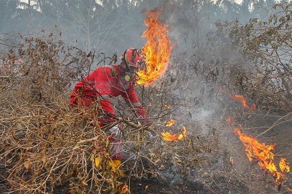 Mendagri: Perlu Sistem Deteksi Dini Karhutla