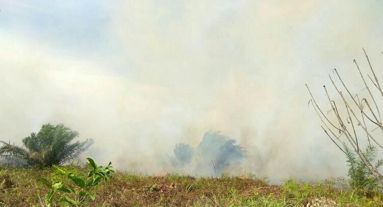 Satgas Karhutla Riau Fokus Padamkan Kebakaran di Empat Lokasi 