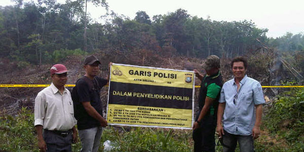 4 Pelaku Pembakar Lahan di Rohul Ditangkap 