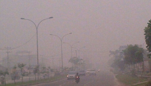 Terancam Dibunuh Kabut Asap, Warga Pekanbaru Evakuasi Anak-anaknya ke Sumbar 