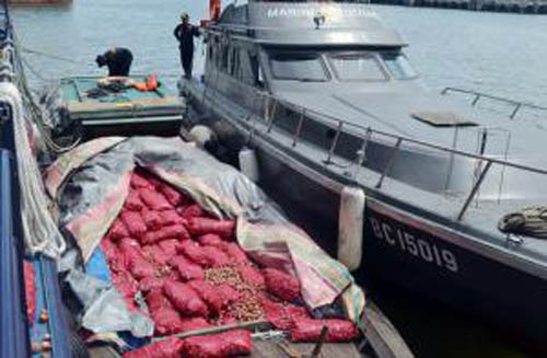 Bea Cukai Dumai Kembali Tegah Bawang Impor Ilegal 12 Ton
