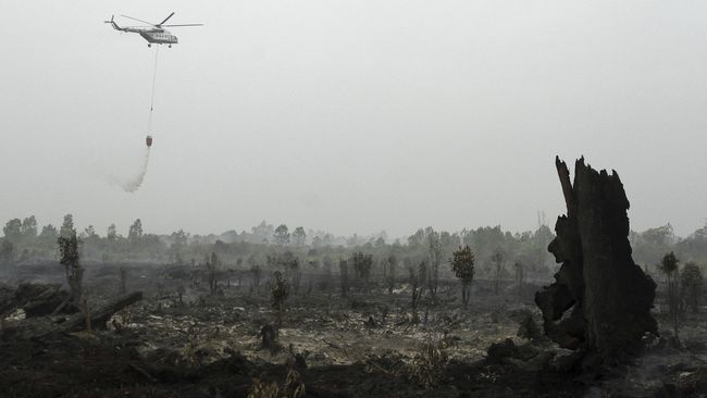 KPK Temukan 144 Perusahaan Tak Berizin di Riau