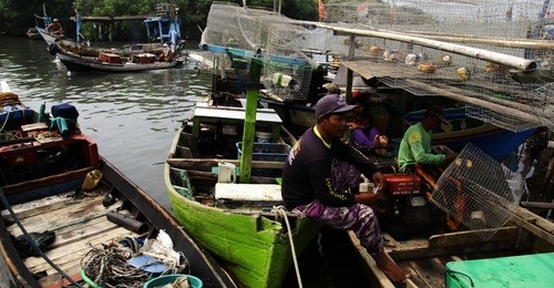 Gara-gara Illegal Fishing, Jumlah Nelayan RI Turun