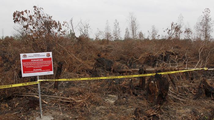 Riau Masih Diselimuti Asap, Siaga Darurat Karhutla Diperpanjang