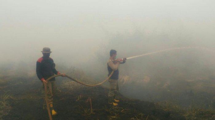 Senin Pagi, Teluk Meranti Pelalawan Riau Dipenuhi Kabut Pekat