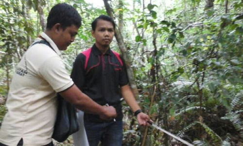 Dapat Uang Rp747 Juta, OKKM Desa Alai Selatan Langsung Keluar Masuk Semak