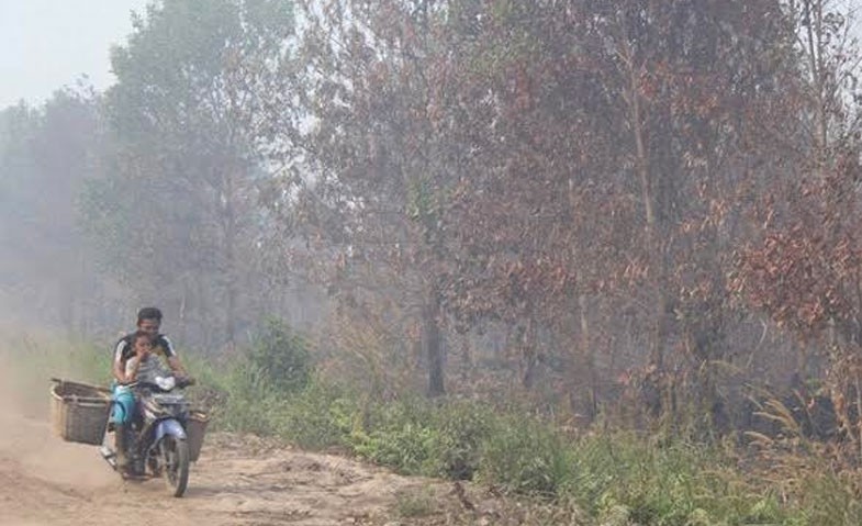 Wako Dumai Imbau Masyarakat Pakai Masker