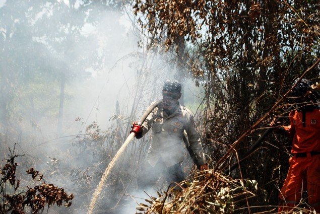 Pemerintah Harus Mengevaluasi Izin Pengusahaan Hutan