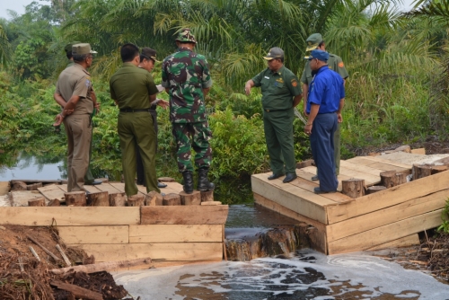 Ini Rahasia Bengkalis Mampu Tekan Kebakaran Hutan dan Lahan