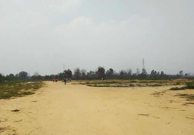 Presiden Jokowi Batal Kunjungi Lokasi Karhutla di Rimbo Panjang 