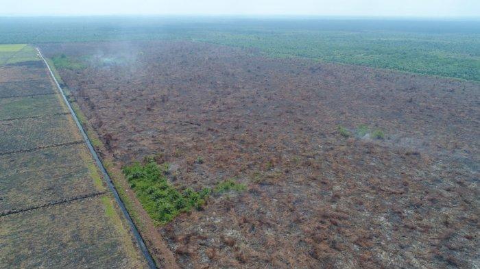 BREAKING NEWS: Dua Hotspot di Atas 70 Persen Terdapat di Dua Kabupaten di Riau