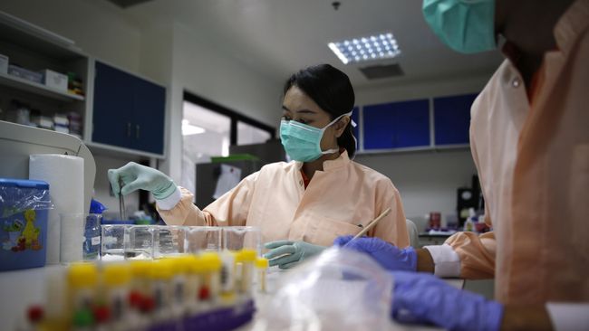 CDC Konfirmasi Hubungan Zika dan Mikrosefalus