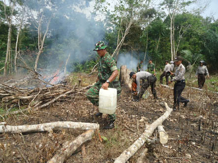 Diduga Bakar Lahan, Tim Gabungan TNI dan Polri di Rohul Amankan 5 Pria