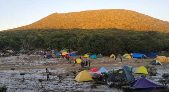 Mau Wisata Alam dan Edukasi? Ayo ke Taman Nasional