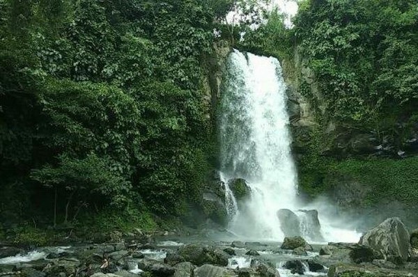 Air Terjun Cantik di Tengah Kebun Kopi