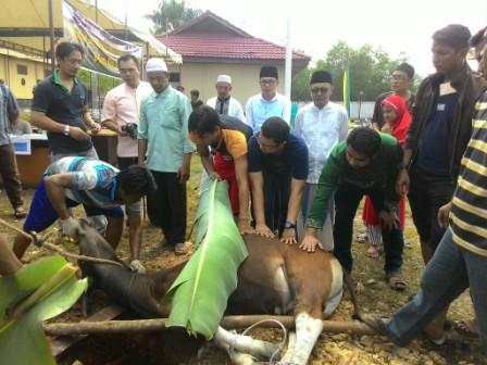 Karyawan RSPH dan RSUD Duri Kurban Belasan Sapi dan Kambing
