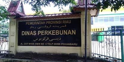 KPK Panggil Kepala Dinas Perkebunan Riau 