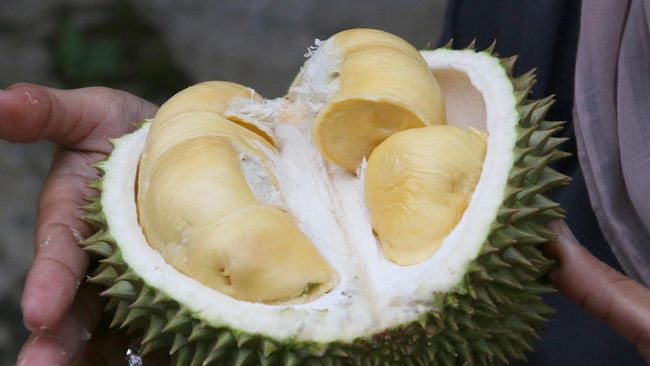 Buah yang Sebaiknya Dihindari saat Berbuka Puasa 