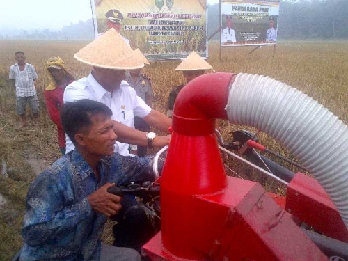 Walau Diliputi Kabut Asap Kabut, 78 Kelompok Tani di Rohil Tetap Panen Raya Bersama Bupati 