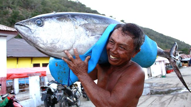 Indonesia Berpeluang jadi Eksportir Tuna Utama Dunia 