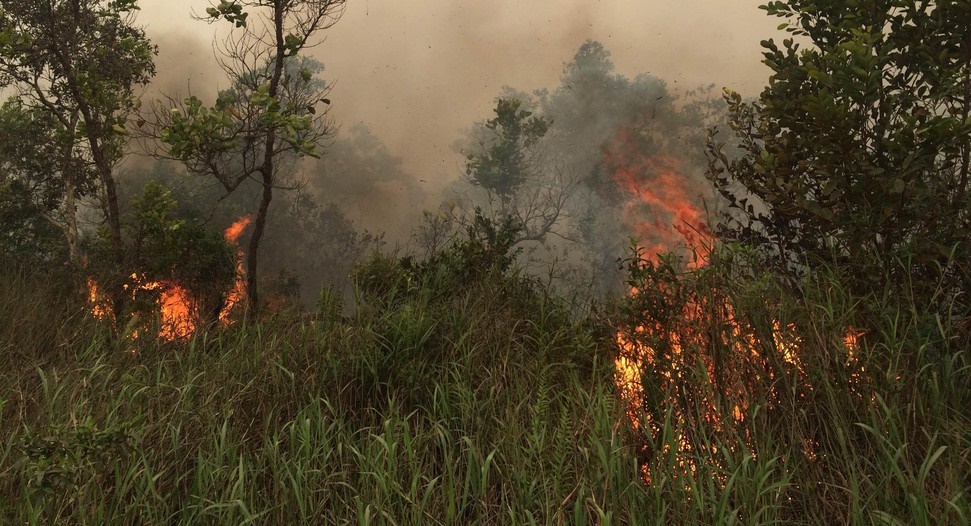 Udara Mulai Tidak Sehat, Bupati Bengkalis Ingatkan Warga Soal Sanksi Pembakaran Lahan