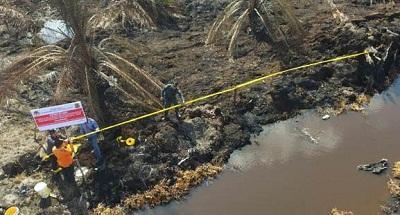 PPNS Kementerian LHK Dapat Bukti Ribuan Hektar Lahan PT APSL di Rohul Terbakar 