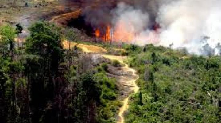 Mengkuatirkan  ,Pelalawan Jadi Peringkat Pertama Titik Hotspot Terbanyak