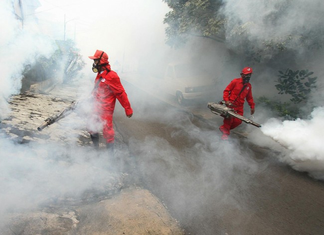 Jakarta Waspada DBD 