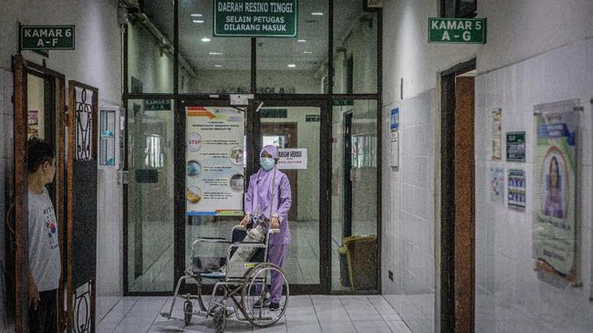 Balita di Malaysia Dinyatakan Sembuh dari Corona 