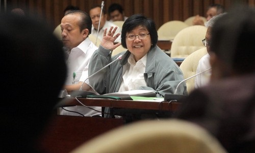 Menteri Siti: Kawasan Hutan Kita Setop untuk Ekspansi Sawit 