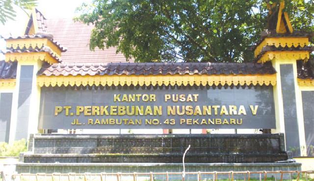Garap Hutan di Luar Izin, Polda Riau Hitung Luas Lahan Illegal PTPN V 